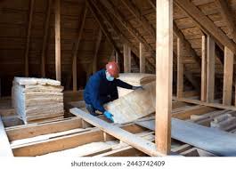 Best Blown-In Insulation in Palm Harbor, FL